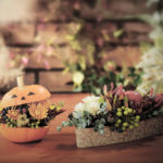 10月　ハロウィンと花撮影の広告写真撮影