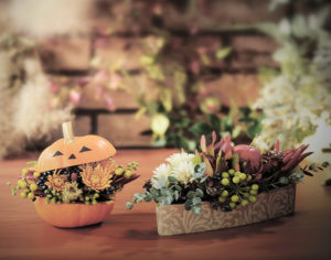 10月　ハロウィンと花撮影の広告写真撮影